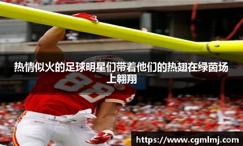 热情似火的足球明星们带着他们的热翅在绿茵场上翱翔